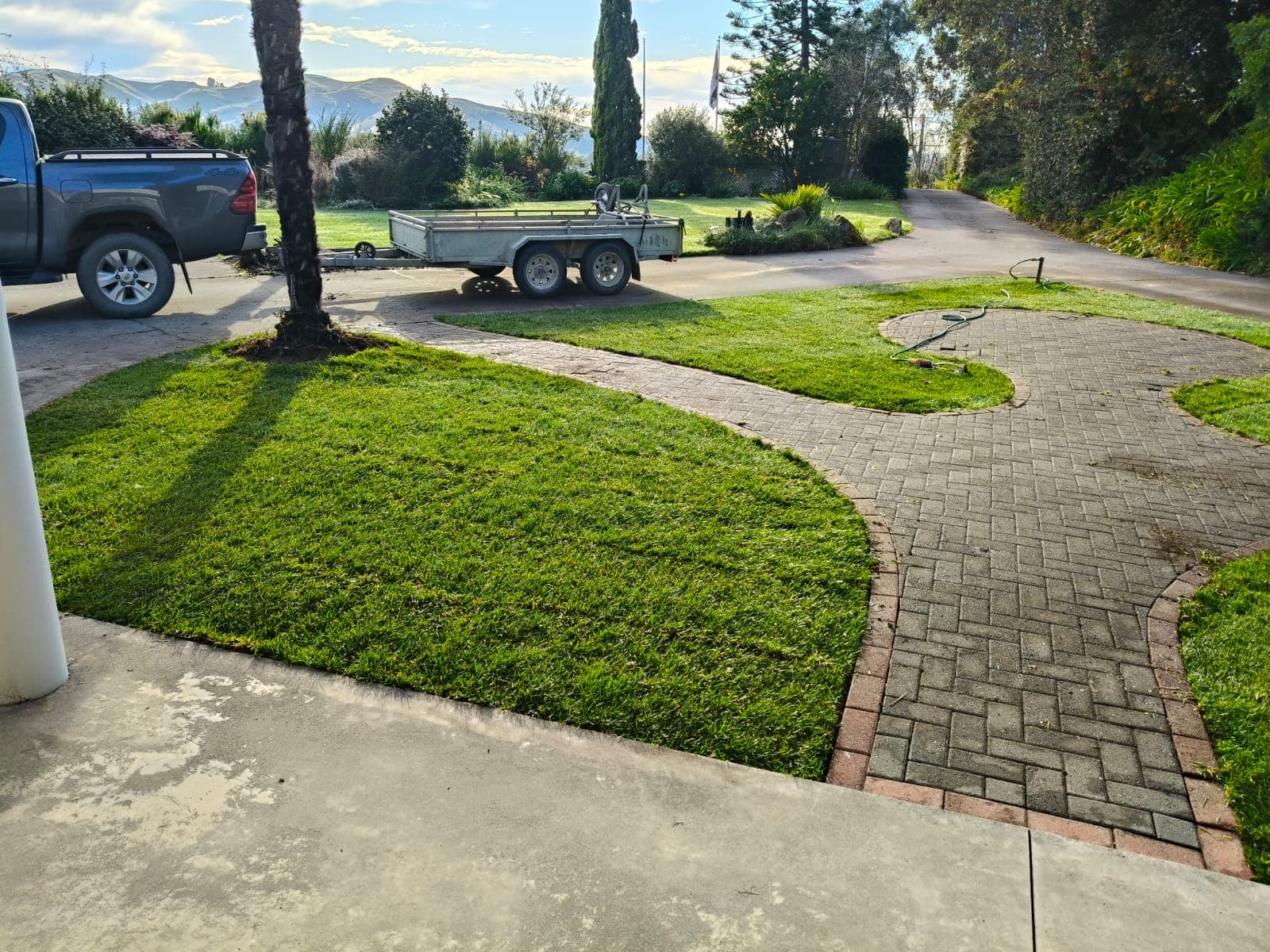 Freshly laid lawn around a palm tree and curved paver path with rural views behind