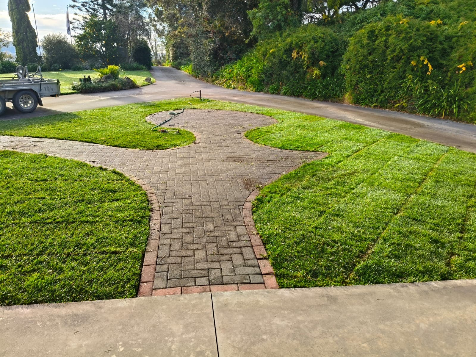 Established instant lawn beside the paver path with hedges and driveway