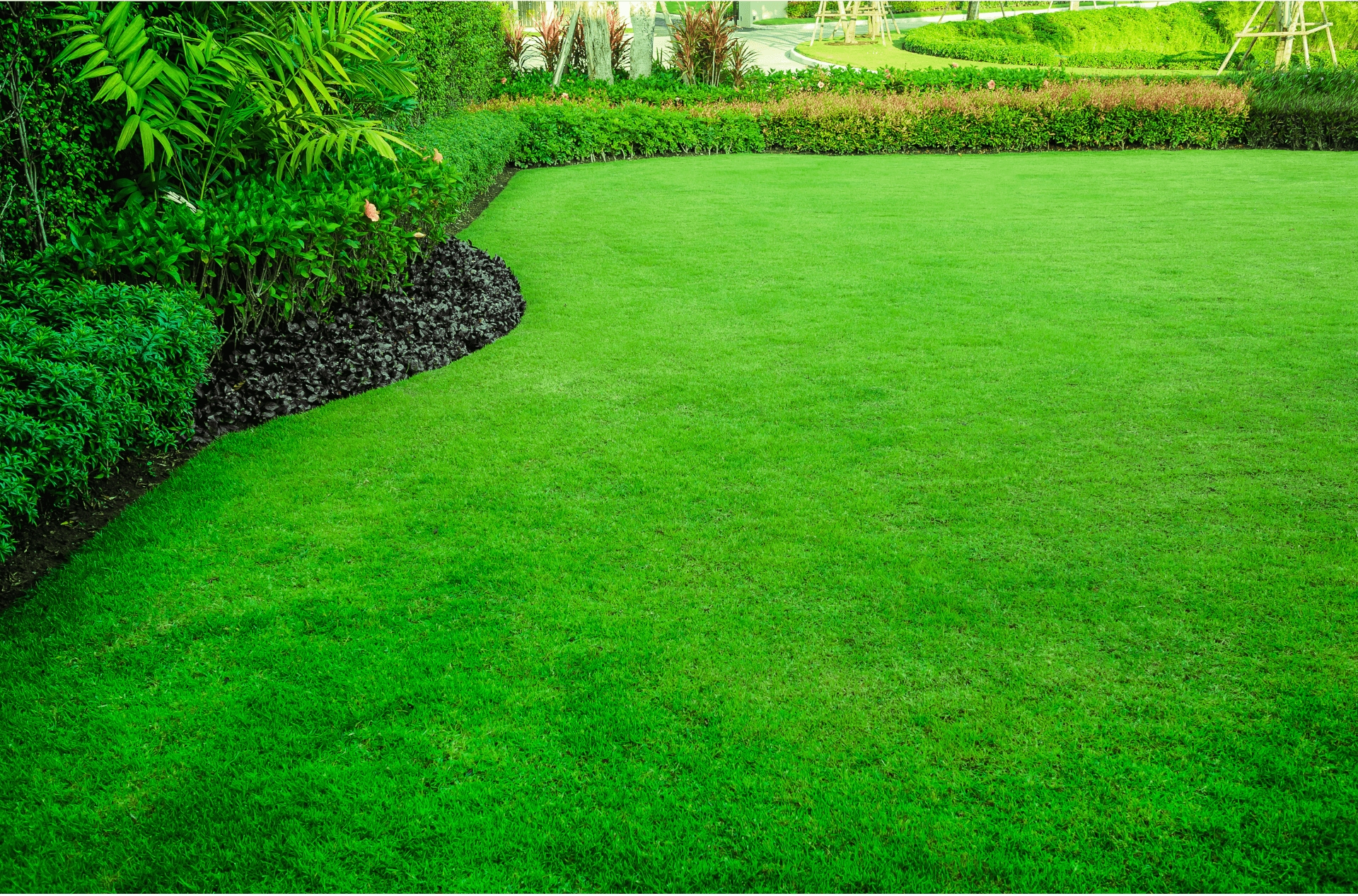 Lush green lawn with curved garden edging